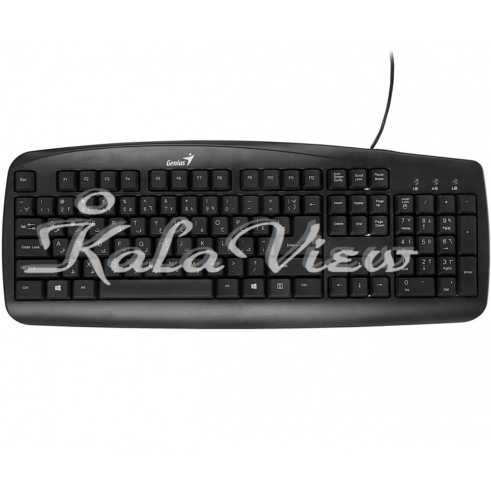 کیبورد کامپیوتر جنیوس Kb 110 Ps 2 With Persian Letters