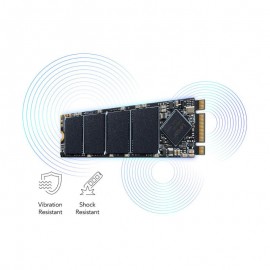 حافظه اس اس دی اینترنال لکسار 256GB مدل NM100 SATA M.2 2280 پارت نامبر LNM100-256RB
